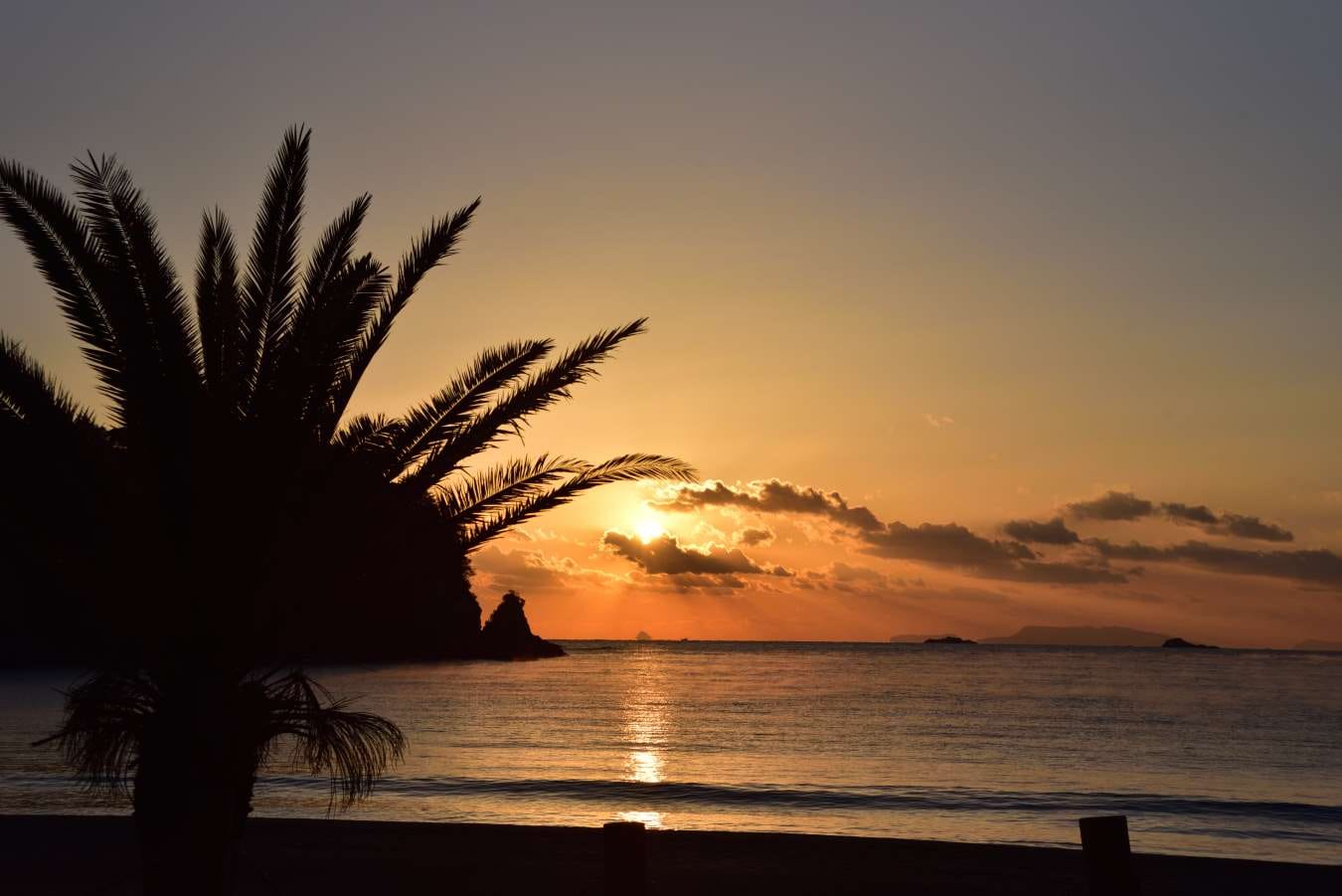 0123yumigahama